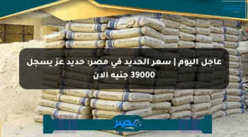 عاجل اليوم | سعر الحديد في مصر: حديد عز يسجل 39000 جنيه الآن